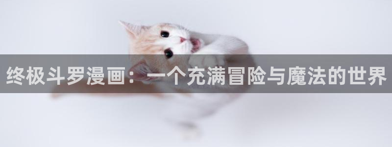 奇漫屋官网