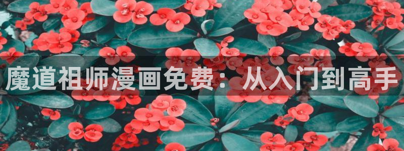 似锦漫画免费下拉式奇漫屋：魔道祖师漫画免费：从入门到高手