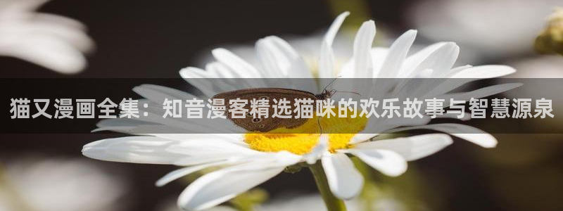 奇漫屋最新版