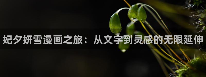 斗罗大陆漫画完整免费观看下拉式奇漫屋