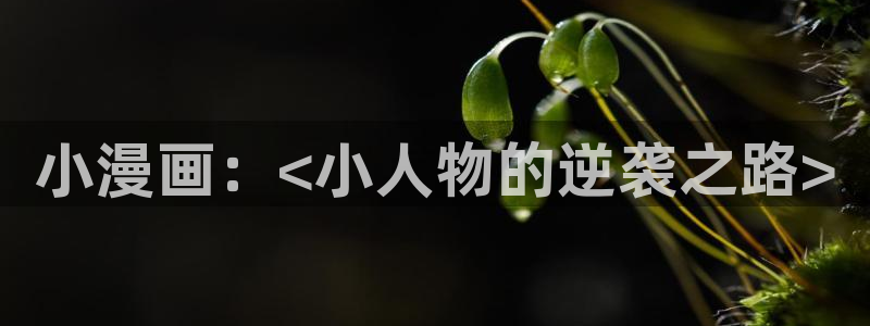 全球高武漫画下拉式奇漫屋